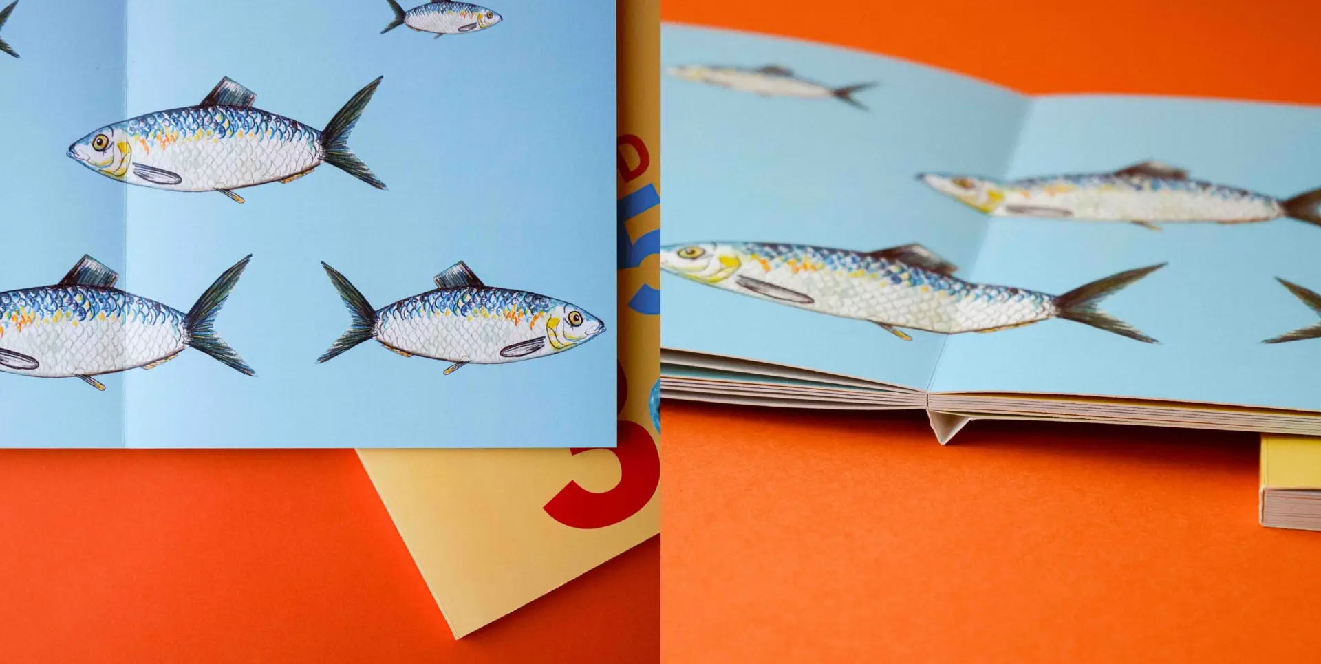 Albumkõite omadused