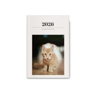 Minimalistlik fotoraamat
